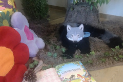 IMG_20251107_083552623_HDR