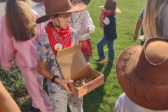 IMG_20250827_164654141
