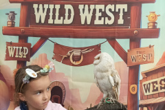 IMG_20250822_203739
