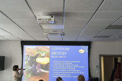 IMG_20260130_112803529_HDR