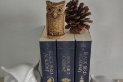 IMG_20251125_123001657_HDR