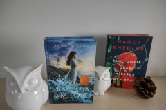 IMG_20251125_123747285_HDR