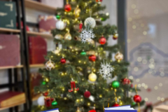 20251215_111540_6_11zon