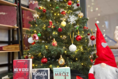 20251215_111736_8_11zon