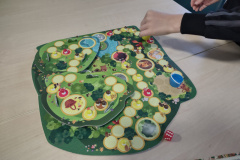 IMG_20251125_141341548_HDR