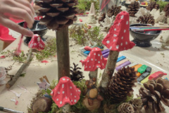 IMG_20251120_152539266_HDR