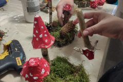 IMG_20251120_152954999_HDR