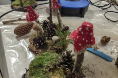 IMG_20251120_154105742_HDR