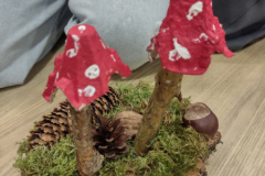 IMG_20251120_160636148_HDR