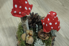 IMG_20251120_160709250_HDR