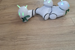 20250605_145137