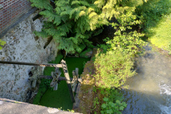 IMG_20250511_112639193_HDR