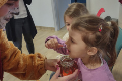 IMG_20251114_095244222_HDR