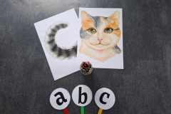 20260220_082925_2_11zon