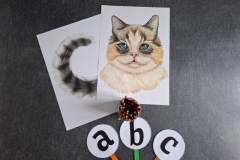 20260220_082931_3_11zon