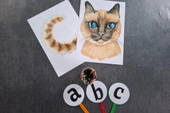 20260220_082941_4_11zon