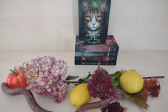 IMG_20251010_120152491