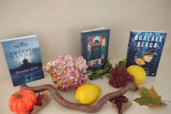 IMG_20251010_133436567