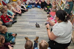 20260116_093831_10_11zon