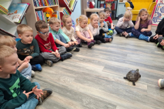 20260116_093851_11_11zon