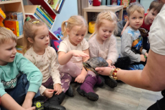 20260116_094103_6_11zon