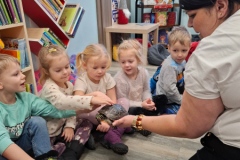 20260116_094106_7_11zon