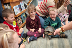 20260116_094145_1_11zon