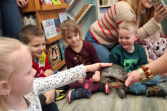 20260116_094147_2_11zon