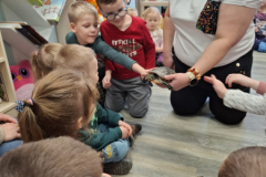 20260116_094218_7_11zon