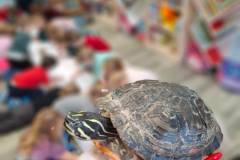 20260116_094549_1_11zon