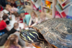 20260116_094602_2_11zon