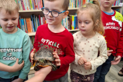 20260116_100600_6_11zon