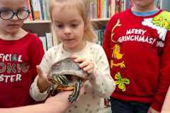 20260116_100621_8_11zon