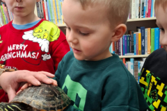 20260116_100648_1_11zon