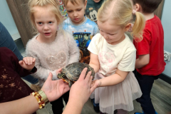 20260116_100746_9_11zon