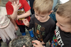 20260116_100810_11_11zon