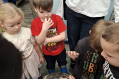 20260116_100812_1_11zon