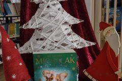 IMG_20251125_114218091_HDR