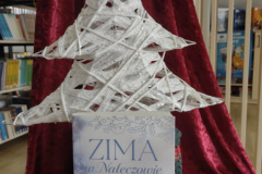 IMG_20251125_114233476_HDR