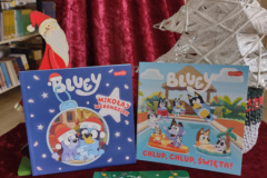 IMG_20251125_114816005_HDR