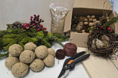 IMG_20260129_103540452_HDR