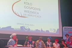 IMG_20250620_171241