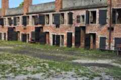 IMG-20250717-WA0022