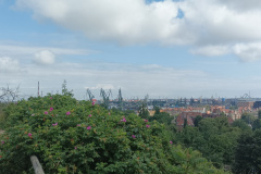 IMG_20250717_102739