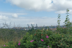 IMG_20250717_102752