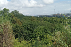 IMG_20250717_103028