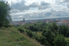 IMG_20250717_105041