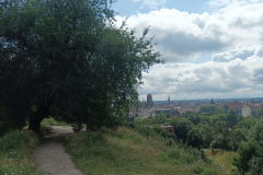 IMG_20250717_105407