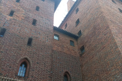 IMG_20250607_110138