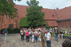 IMG_20250607_120741